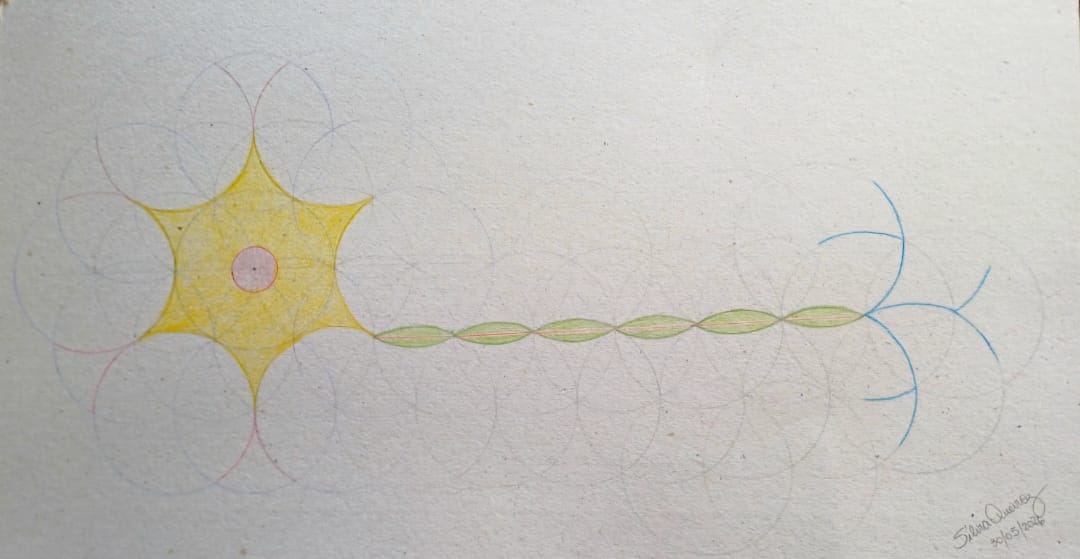 0 desenho flor da vida.jpeg