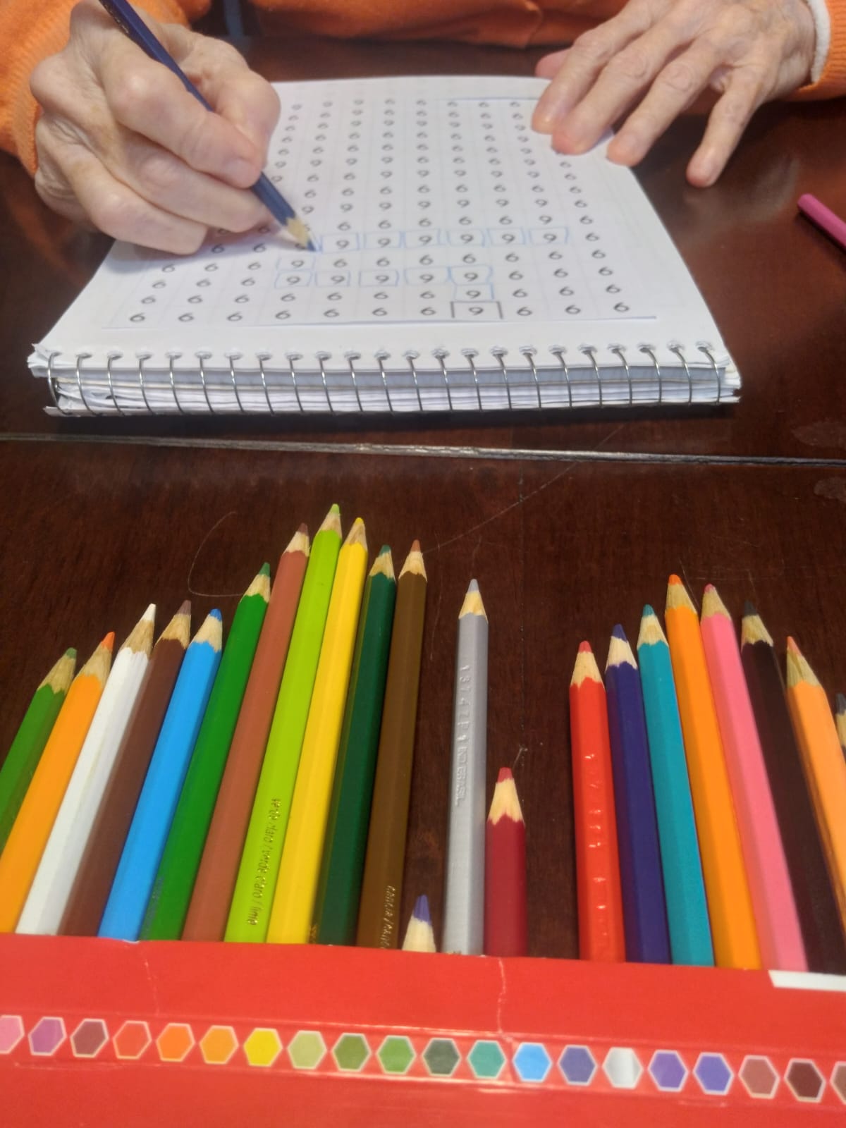 WhatsApp Image 2025-10-01 at 08.52.04 (2).jpeg